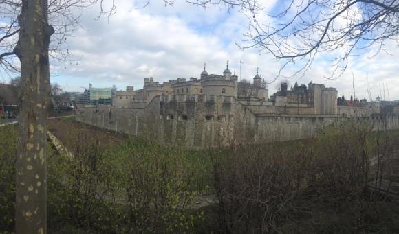 1923508_206853993009108_1438743070002344484_n