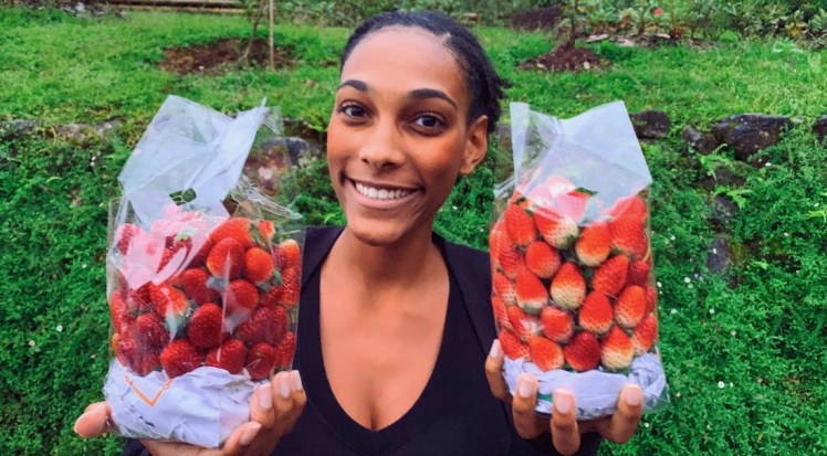 Strawberries from Doin Inthanon